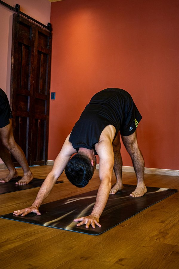 Les cours de yoga et Pilates du Studio du Nid à Avignon